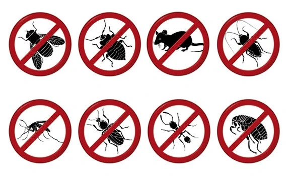 Image representing the third advantage of using our product